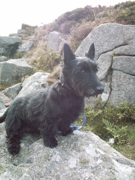 Old Bess on top of Mither Tap, Bennachie.