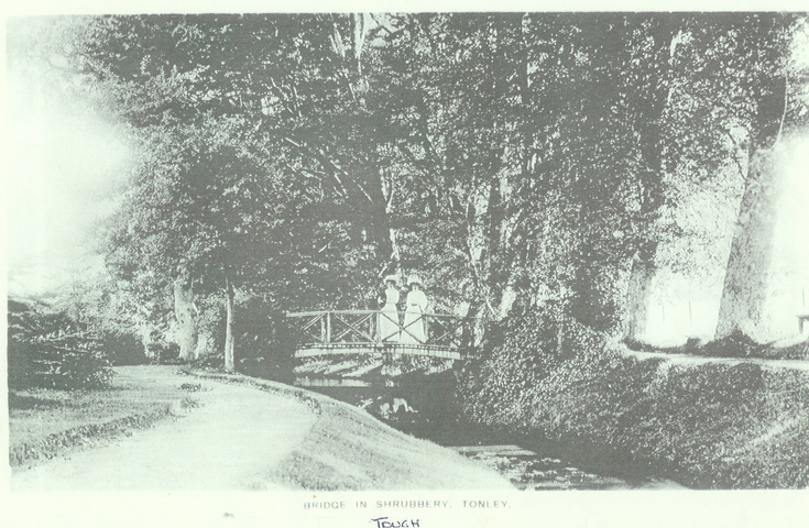 Bridge in Shrubbery at Tonley, Tough