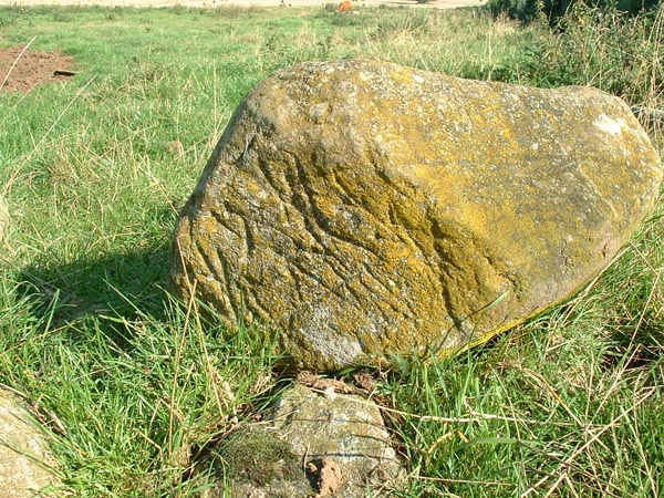 Oddly marked stone from stone circle at Ardlair