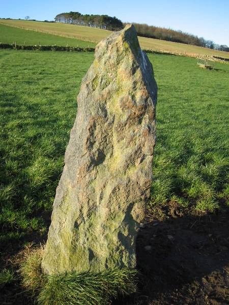 Stone at Tertowie