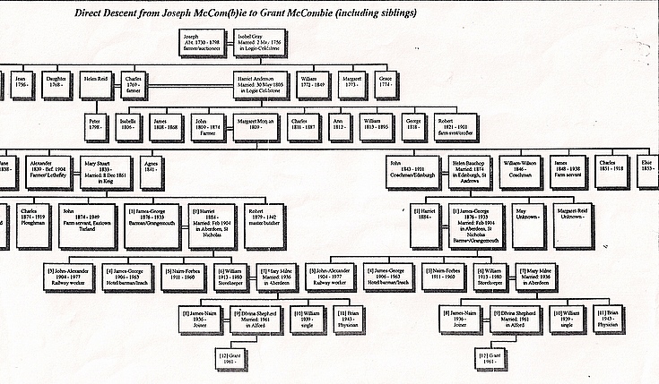 McCombie Genealogical Chart (part 2)